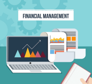 Financial management software for businesses