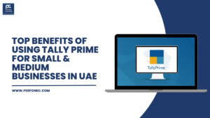 Top Benefits of Using Tally Prime for Small & Medium Businesses in UAE